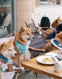 163312015_2939120469652206_7673678896221877011_n