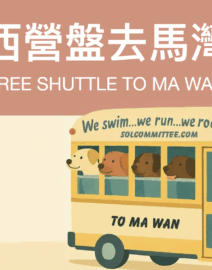 Screenshot 2026-02-20 at 9.28.10 PM