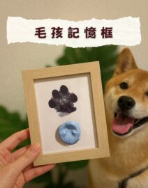 WhatsApp Image 2026-01-14 at 3.57.22 PM (1)