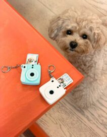 WhatsApp Image 2026-01-27 at 10.45.59 PM