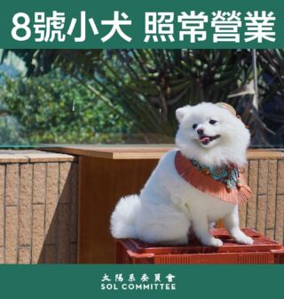 今日8號，真係8號，馬灣街坊可以帶小犬過嚟探小犬
 🐶長沙灣 @solmateclub 、馬灣店 @solcommittee 照常11AM 營業🐶  外賣自取：Click Bio Link:  https://order.solcommittee.com/ ＝＝＝＝＝＝＝
10月8號限定，係SOL Top Up 增值 HK$500，當HK$588 Credit。(Website 增值亦得）

🚌🚌🐶 因於天氣關係，10月8日(日)嘅Free Shuttle Bus 活動已順延至10月14日 (六)，依家重新開放報名 (天氣預報 ☀️有陽光，日間乾燥清爽) 
 Click Bio Link: https://solcommittee.com/product/sol-shuttlebus/  Ps. 之前已報名嘅街坊，已個別通知留位。如果收唔到專人通知，可以DM我地