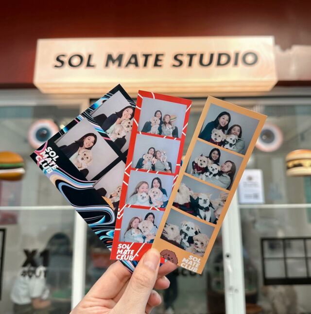 過嚟 @solmateclub  Sol mate studio  影相影得靚嘅 話可能會請你影多張貼堂🍔

＝＝＝＝＝＝＝＝＝＝＝＝
11月5日馬灣➡️長沙灣🚌🚌：https://solcommittee.com/product/sol-shuttlebus/

#hkburger #hkburgers #漢堡包 #手工漢堡 #cheungshawanfood #cheungshawancafe #cheungshawancoffee #cafehk #hongkongcoffeeshop #hongkongcafe #hkcoffeelover #jccac #jccac賽馬會創意藝術中心 #香港咖啡店 #咖啡日常 #hkweekend #美荷樓 #美荷樓青年旅舍 #美居中心 #保安道街市 #長沙灣 #長沙灣美食 #蝦餅 #手剁蝦餅 #長沙灣外賣 #長沙灣cafe #包場活動  #生日會 #狗狗生日會 #周年紀念